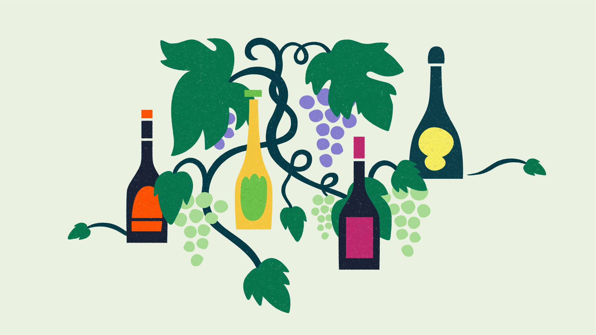 Viiniä ja viiniköynnöksiä