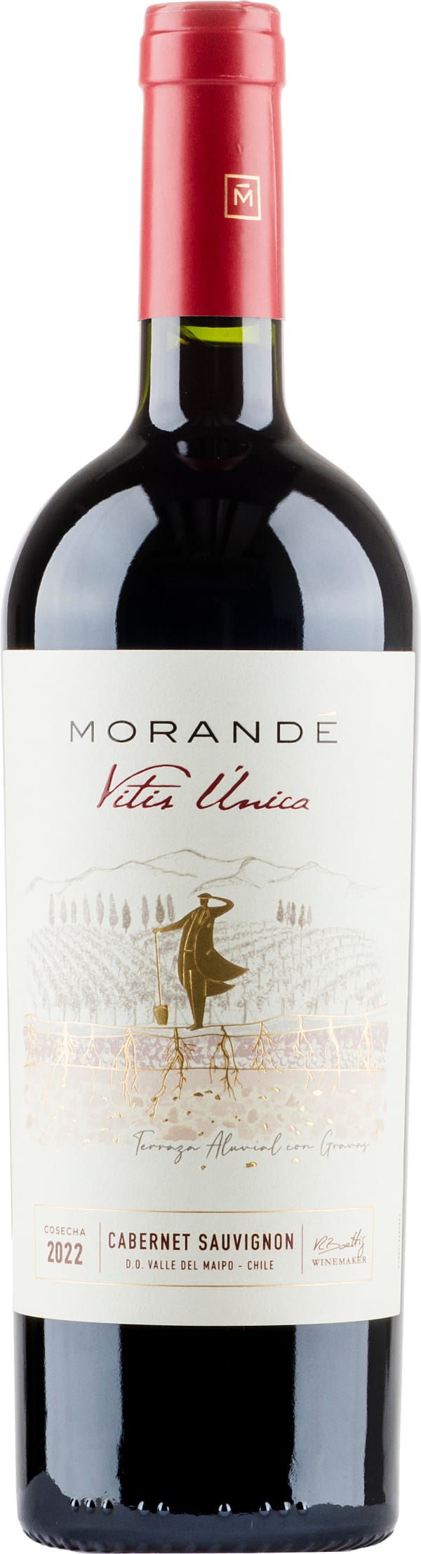 Morandé Vitis Unica Cabernet Sauvignon 2022