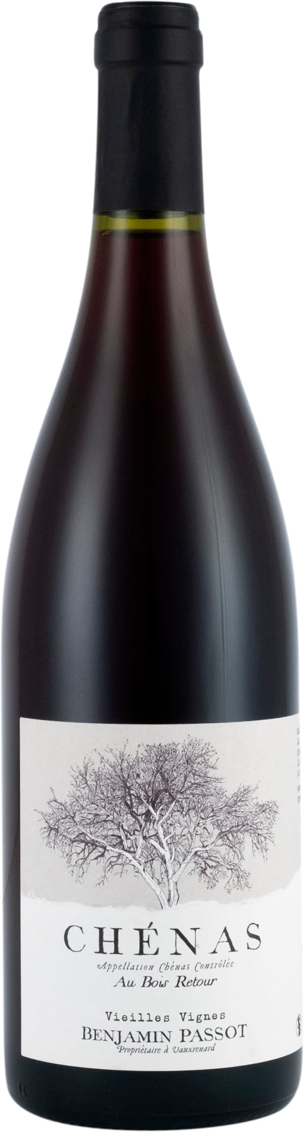 Benjamin Passot Chénas 2023