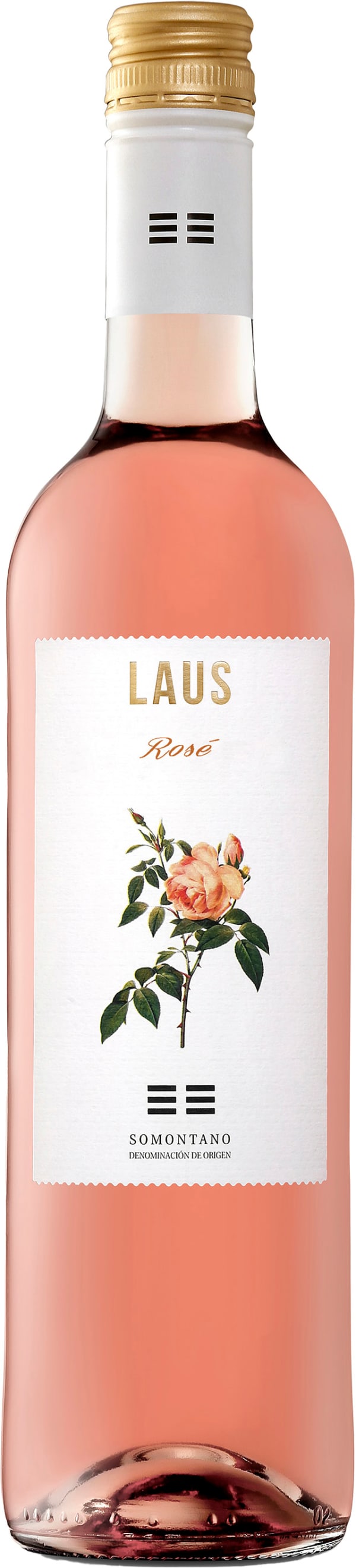 Laus Rose 2025