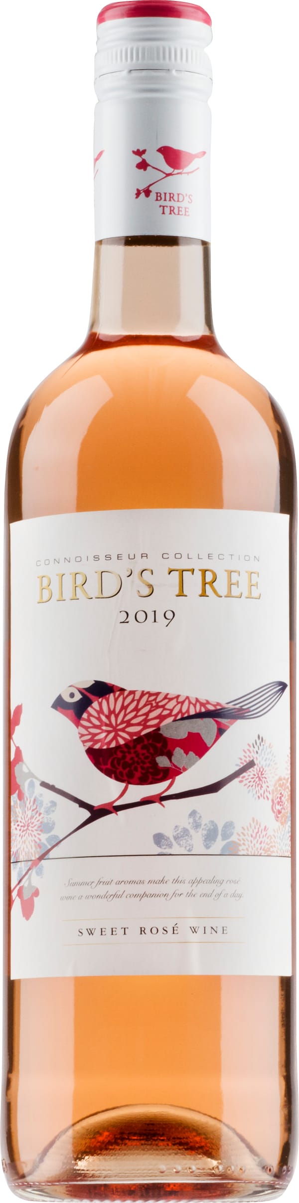 Bird's Tree Rose 2023