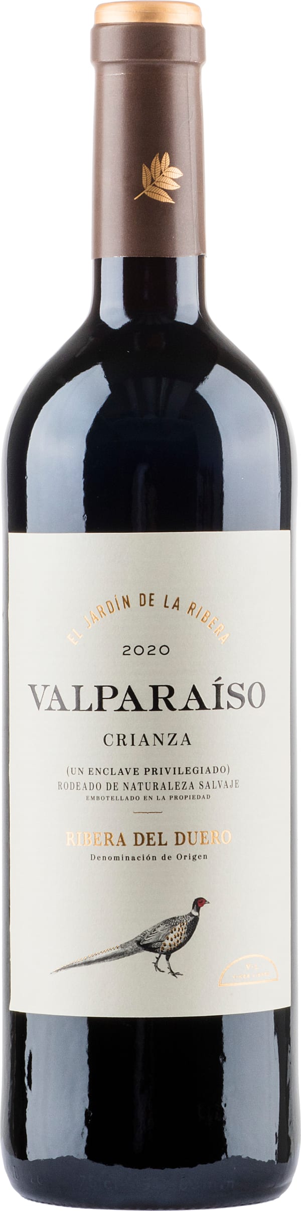 Valparaíso Crianza 2023