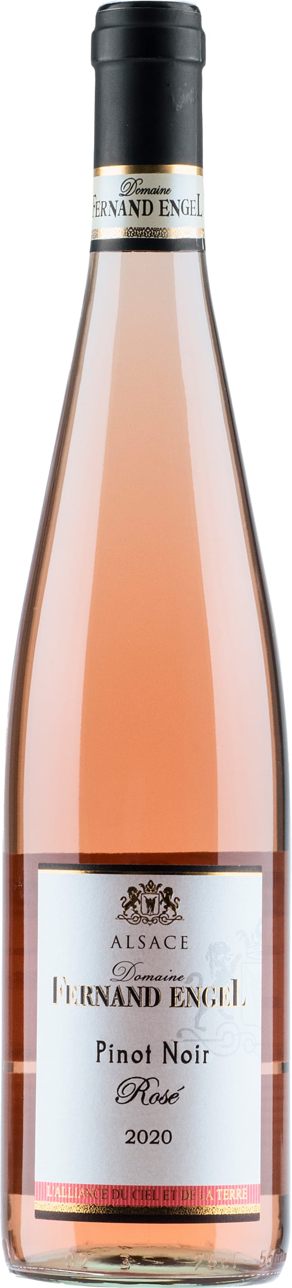 Fernand Engel Pinot Noir Rosé 2023