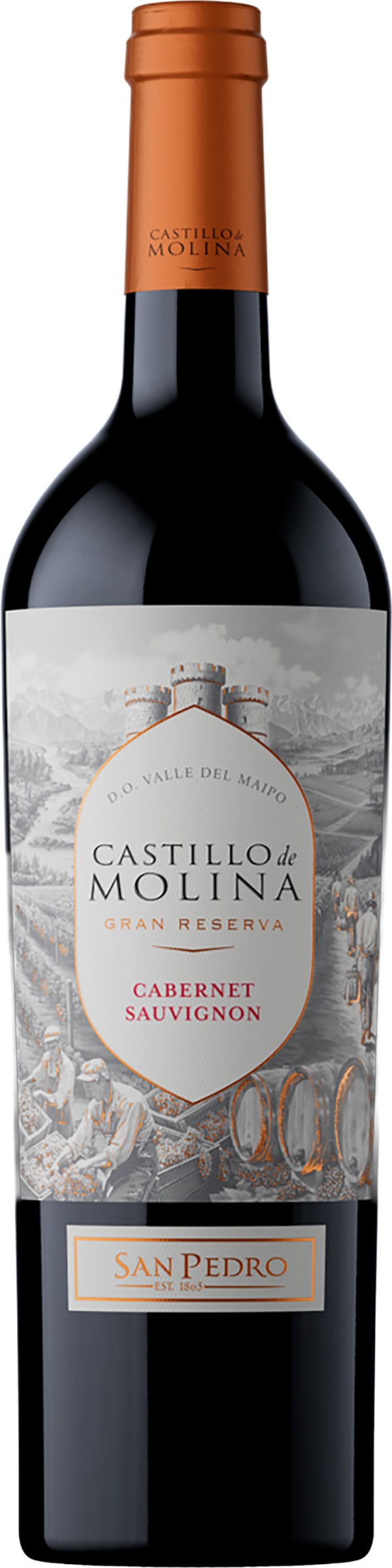 Castillo de Molina Gran Reserva Cabernet Sauvignon 2021
