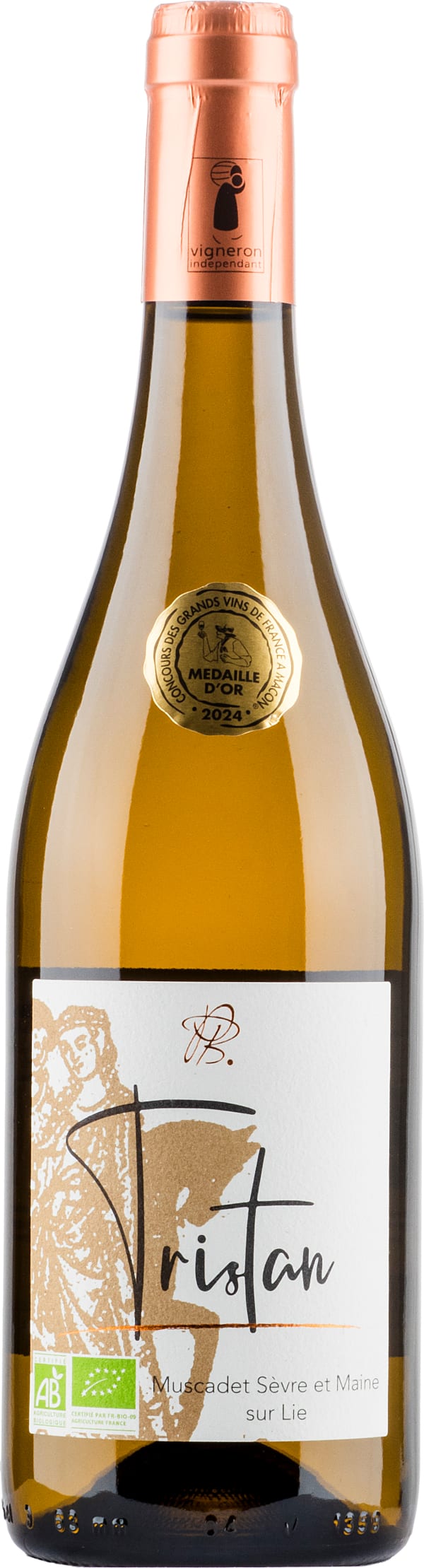 Pétard et Bazile Tristan 2023