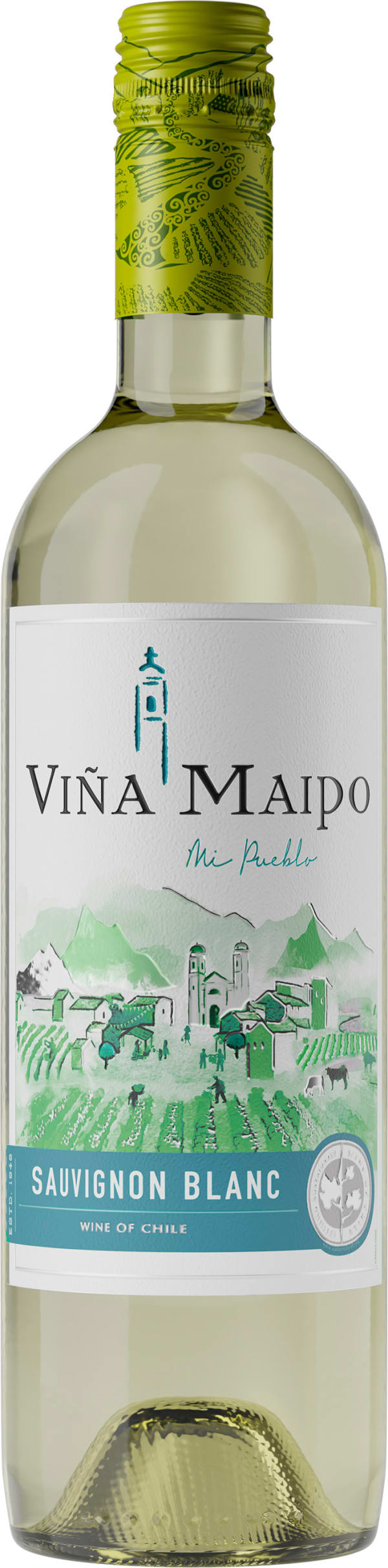 Viña Maipo Sauvignon Blanc 2024