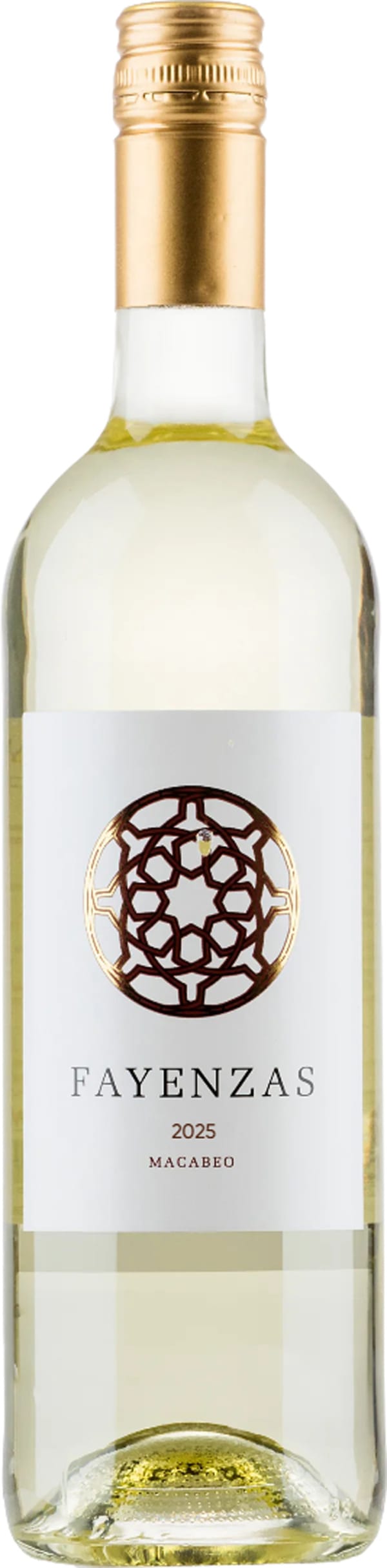 Fayenzas Macabeo 2024