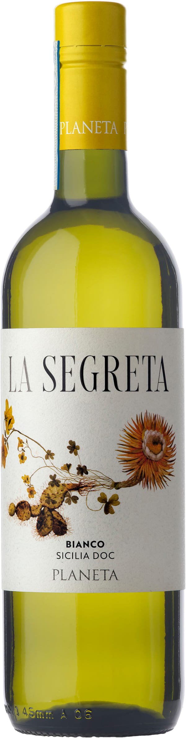 Planeta La Segreta Bianco 2024