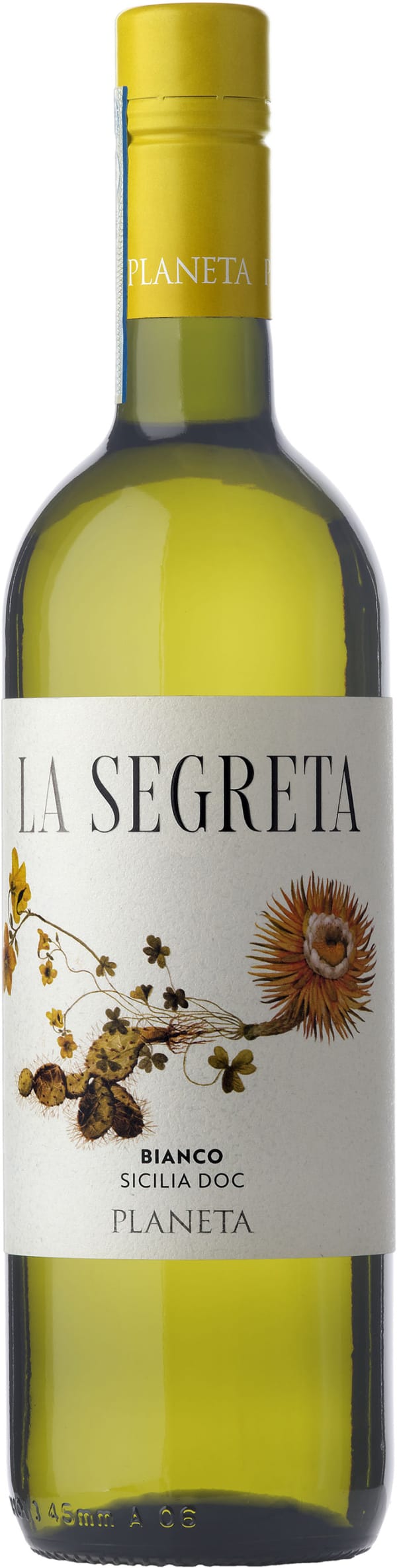 Planeta La Segreta Bianco 2023
