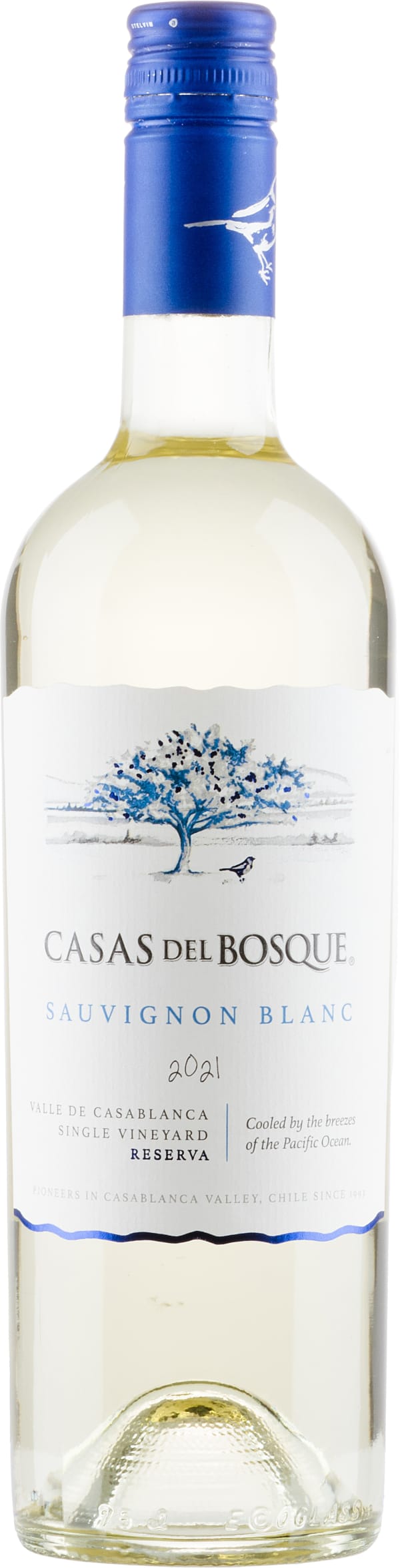 Casas del Bosque Reserva Sauvignon Blanc 2022