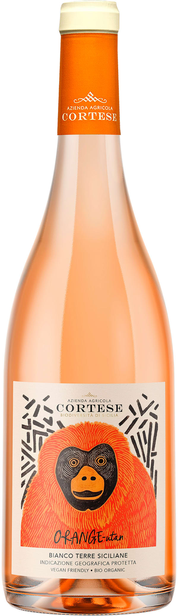 Cortese Orange-Utan 2024