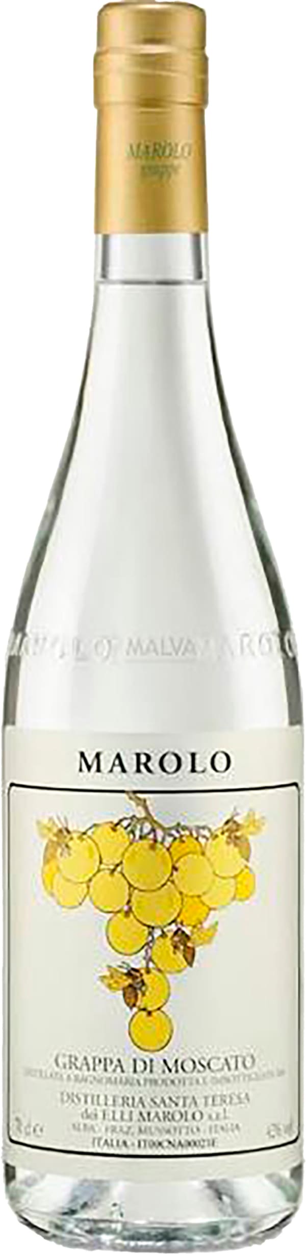 Marolo Grappa di Moscato				
