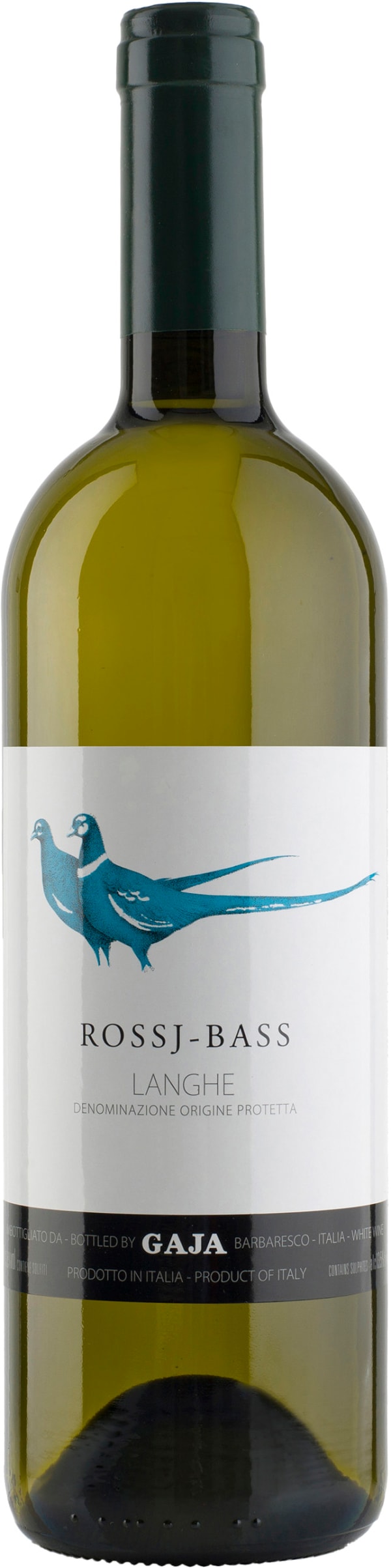 Gaja Rossj Bass 2024 kuva 1/1