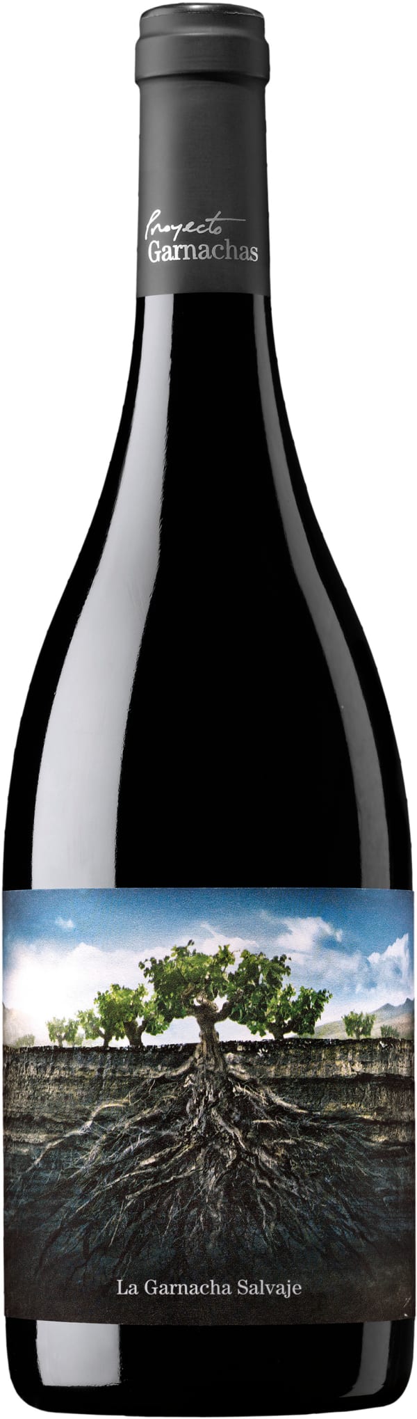 La Garnacha Salvaje del Moncayo 2022