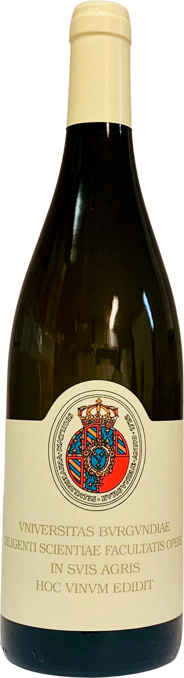 Universite de Bourgogne Blanc 2023