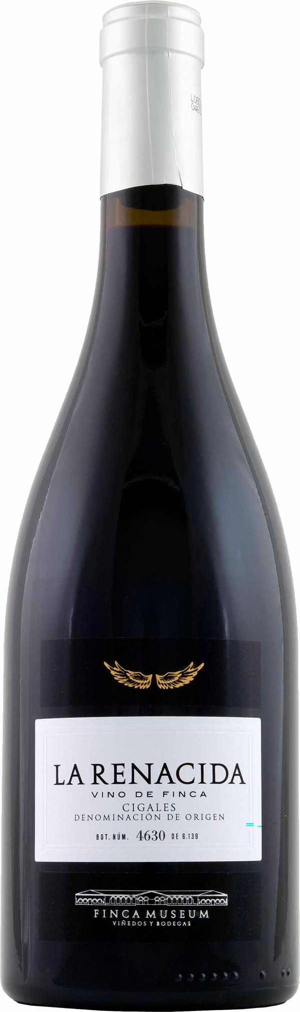 Finca Museum La Renacida 2019