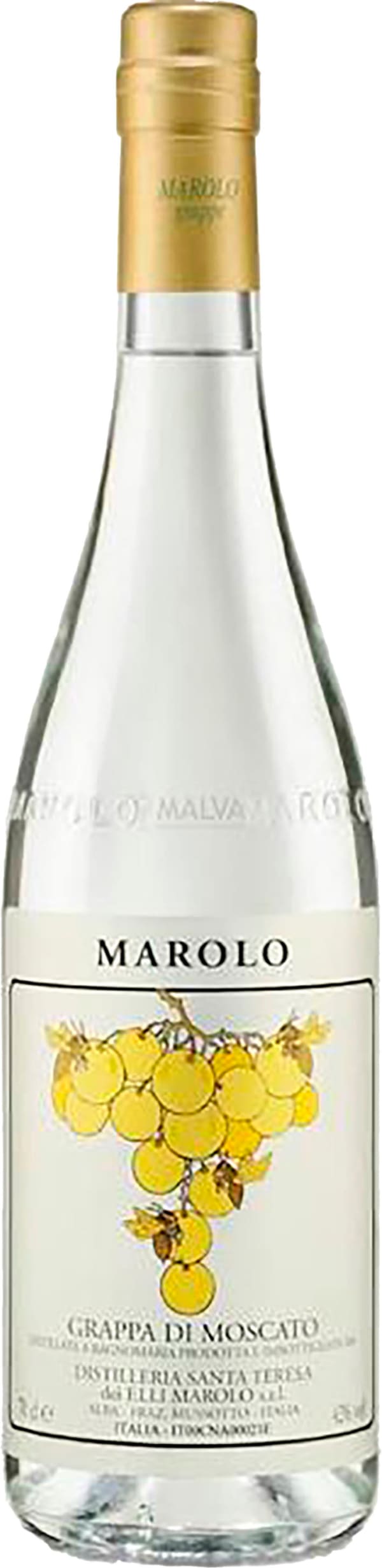 Marolo Grappa di Moscato