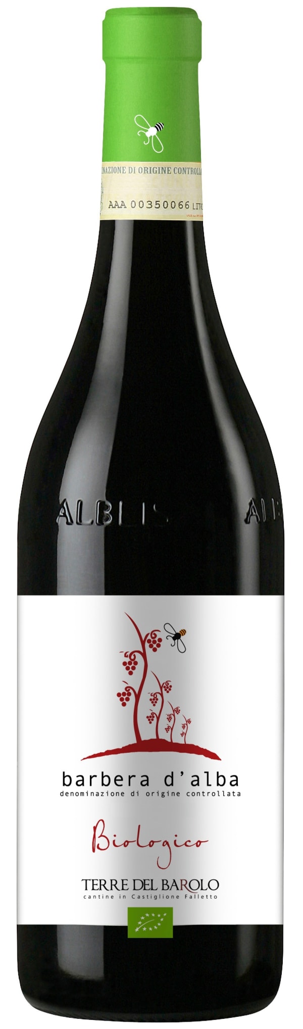Terre del Barolo Barbera d'Alba Biologico 2025