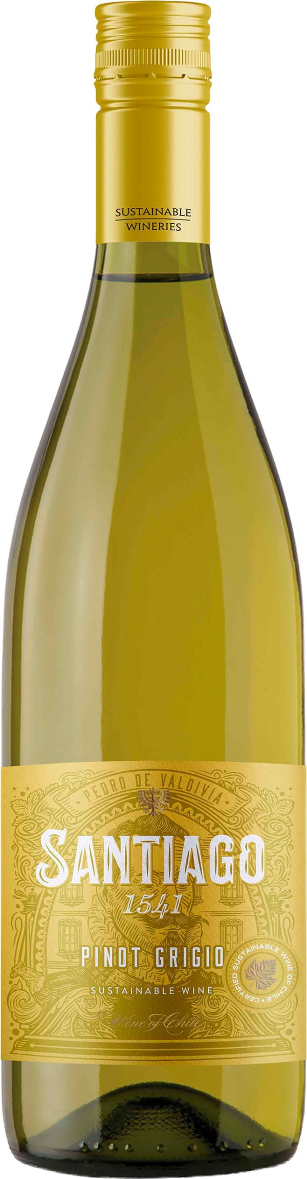 Santiago 1541 Pinot Grigio 2025