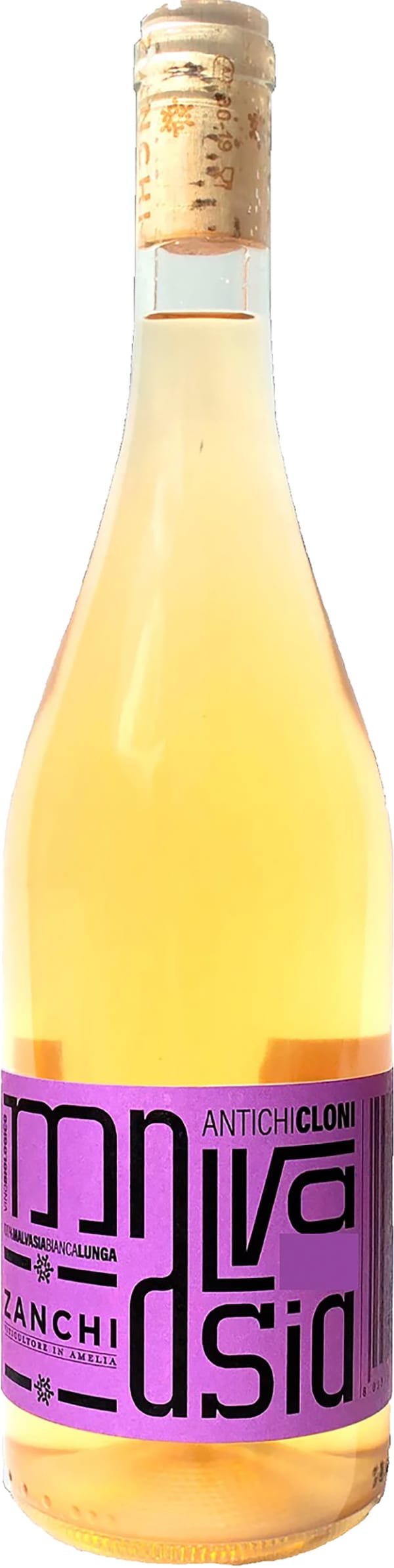 Zanchi Antichi Cloni Malvasia 2024