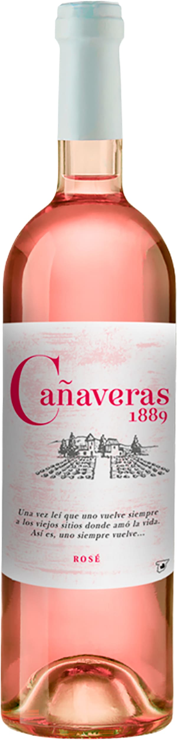 Cañaveras 1889 Rose
