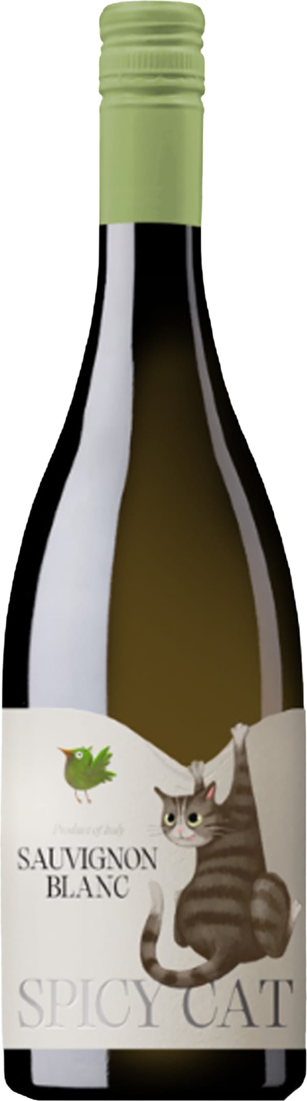 Spicy Cat Sauvignon Blanc 2025