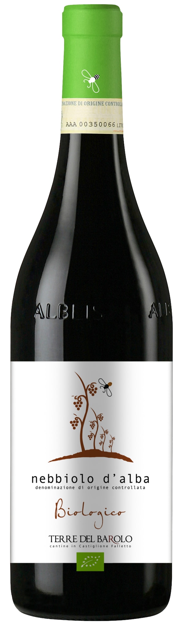 Terre del Barolo Nebbiolo d'Alba Biologico 2022