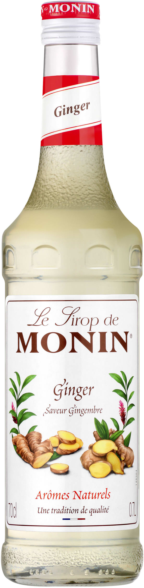 Le Sirop de Monin Ginger