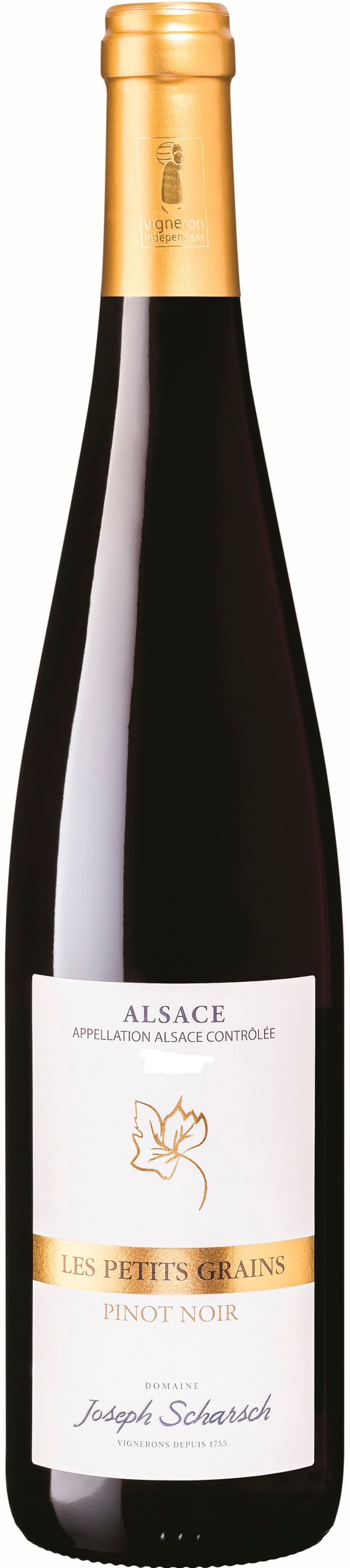 Joseph Scharsch Pinot Noir Les Petits Grains 2023