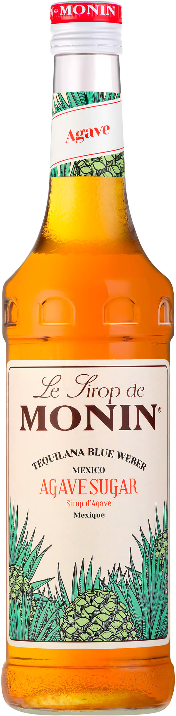 Le Sirop de Monin Agave