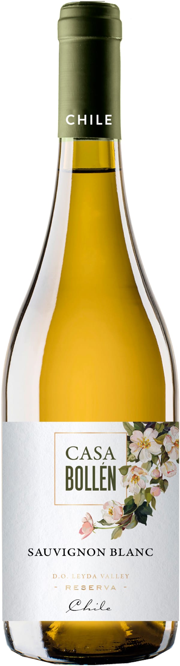 Casa Bollen Sauvignon Blanc Reserva 2021