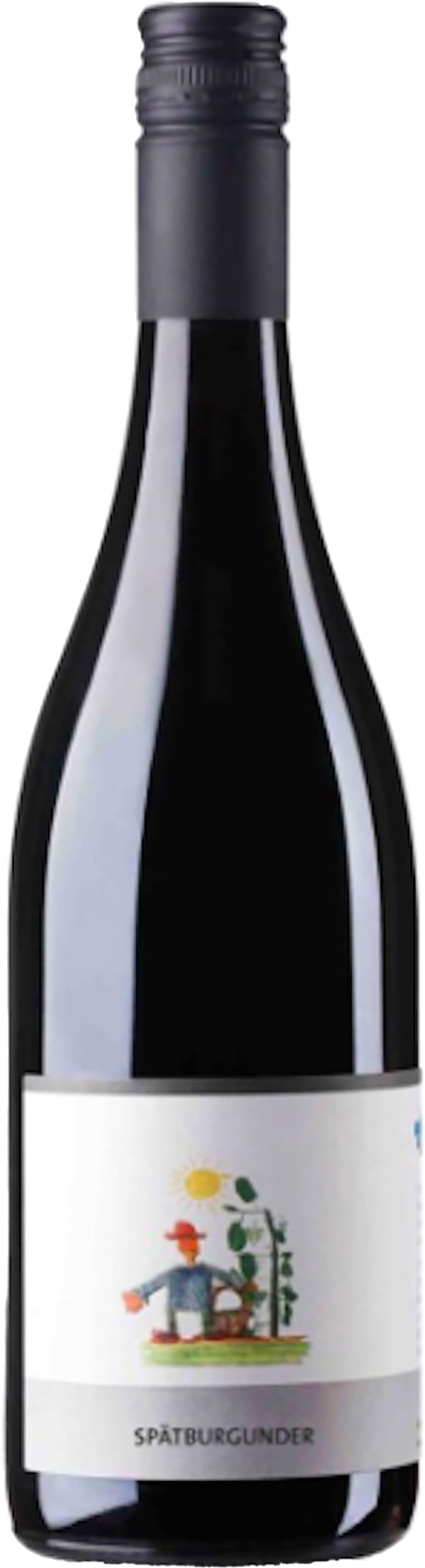 Lebenshilfe SpÀtburgunder 2017