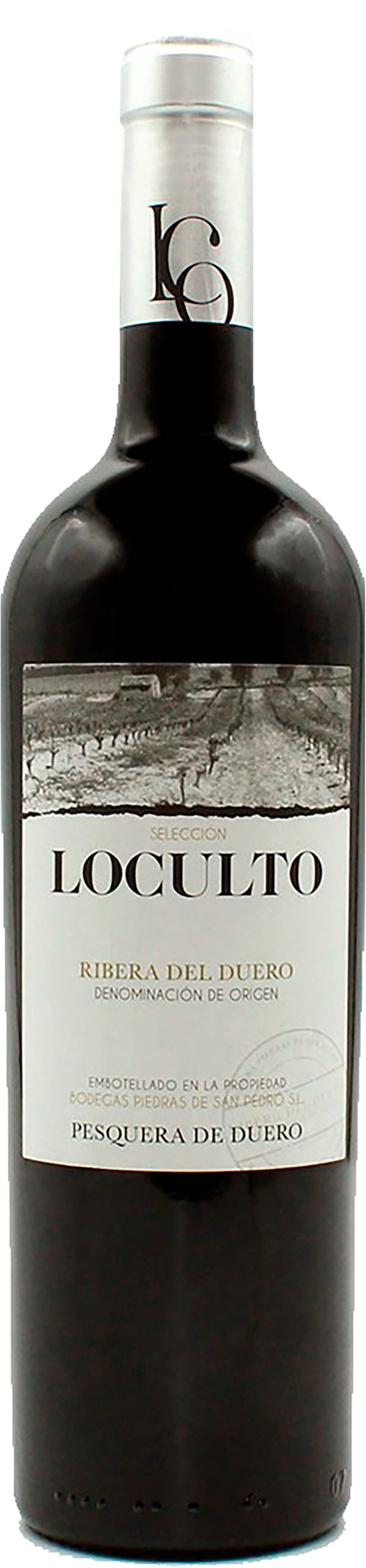 Piedras de San Pedro Loculto Seleccion 2022