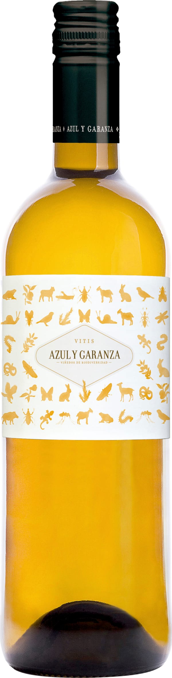 Azul y Garanza Vitis 2021