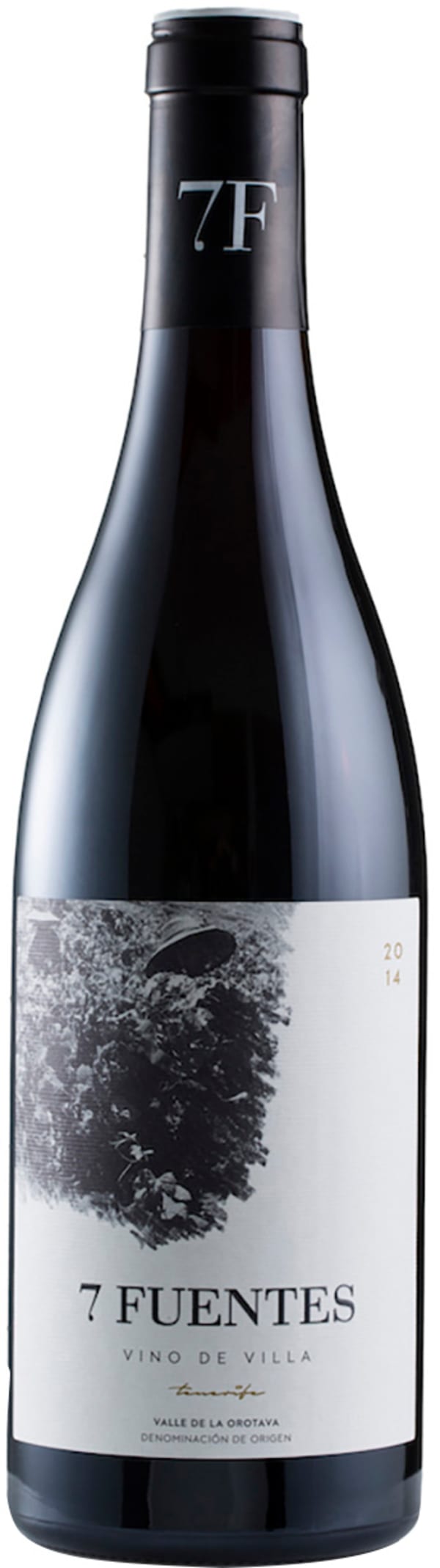 Suertes del Marqués 7 Fuentes 2019