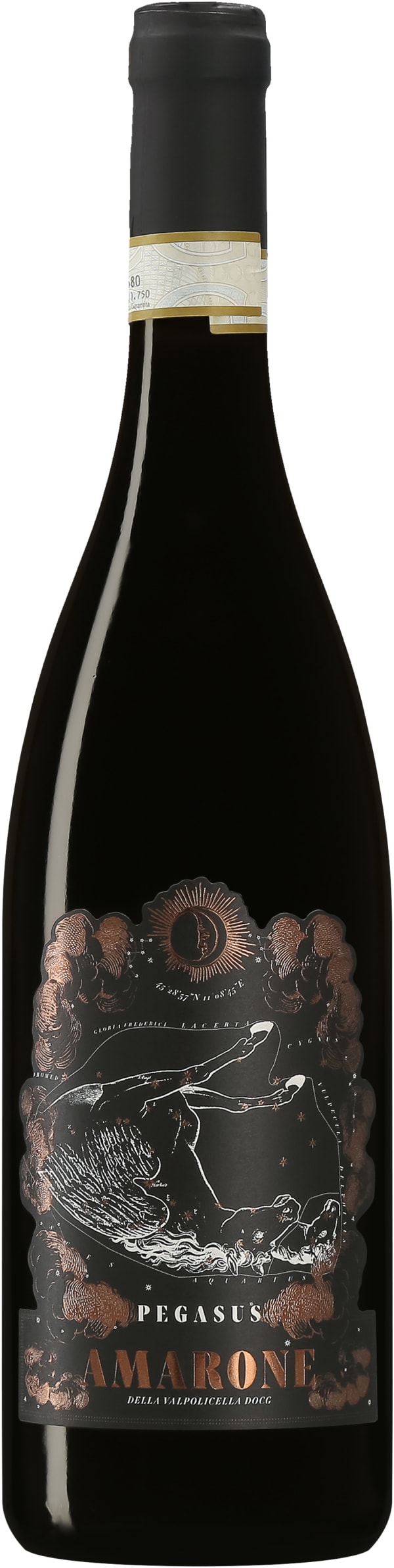Pegasus Amarone della Valpolicella 2021