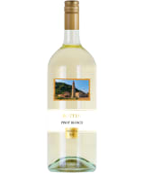 Botter Pinot Bianco 2021
