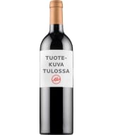 Botte Buona Rosso 2024