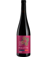 Bikicki Pinotte 2017