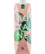 U/B Botane Rosé 2024 kartonkitölkki