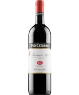 Pio Cesare Barbera d'Alba 2023