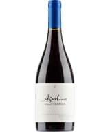 Agustinos Gran Terroir Pinot Noir 2019
