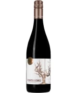 Casa Santos Lima Fortíssimo 2022 kuva 1/1