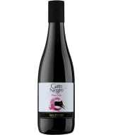 Gato Negro Pinot Noir 2021 plastic bottle