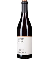Corvers-Kauter Rheingau Pinot Noir 2019