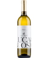 Luca Bosio Gavi 2024