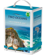 Two Oceans Sauvignon Blanc 2021 hanapakkaus