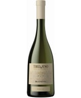 Tbilvino Rkatsiteli 2024