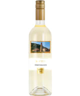 Botter Pinot Bianco 2021