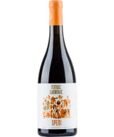 Terrae Laboriae Speri Falanghina 2023